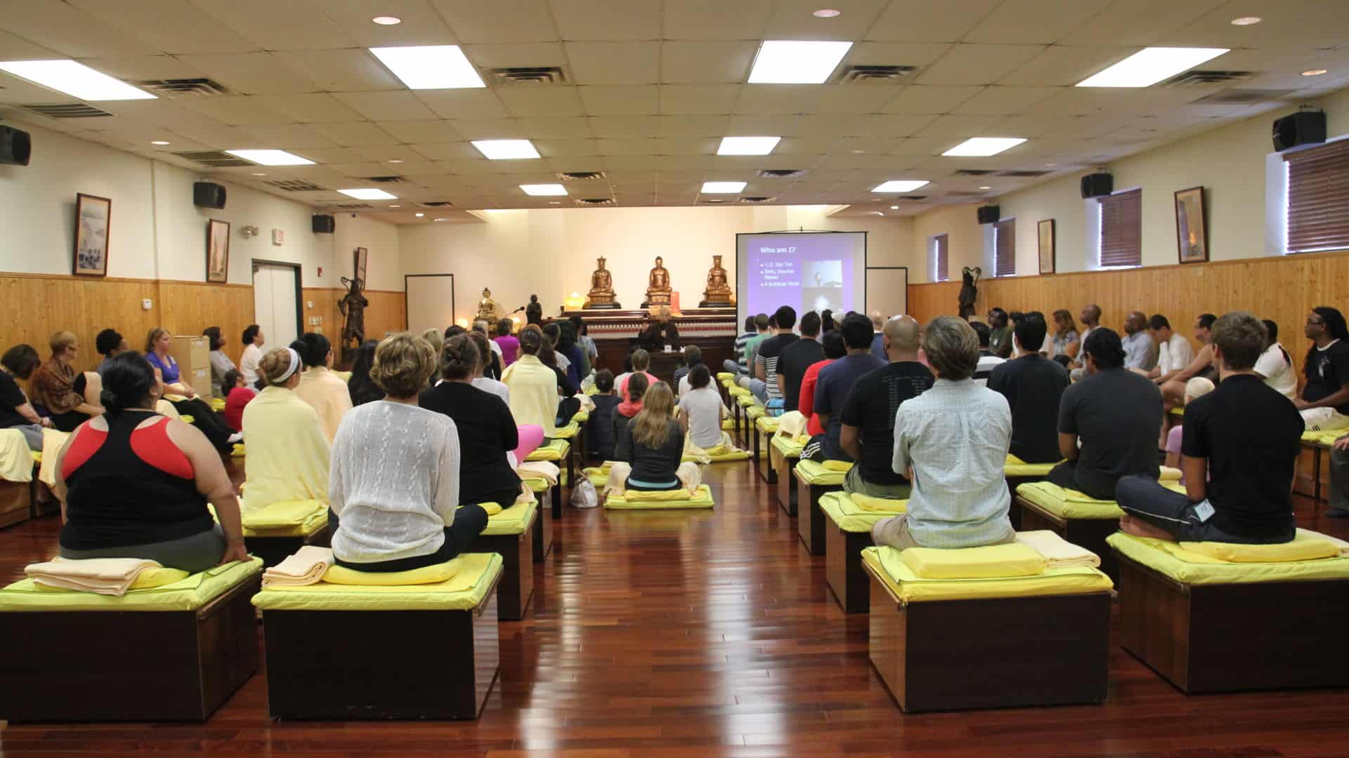 Zen Meditation Classes